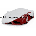 Child car seat cover